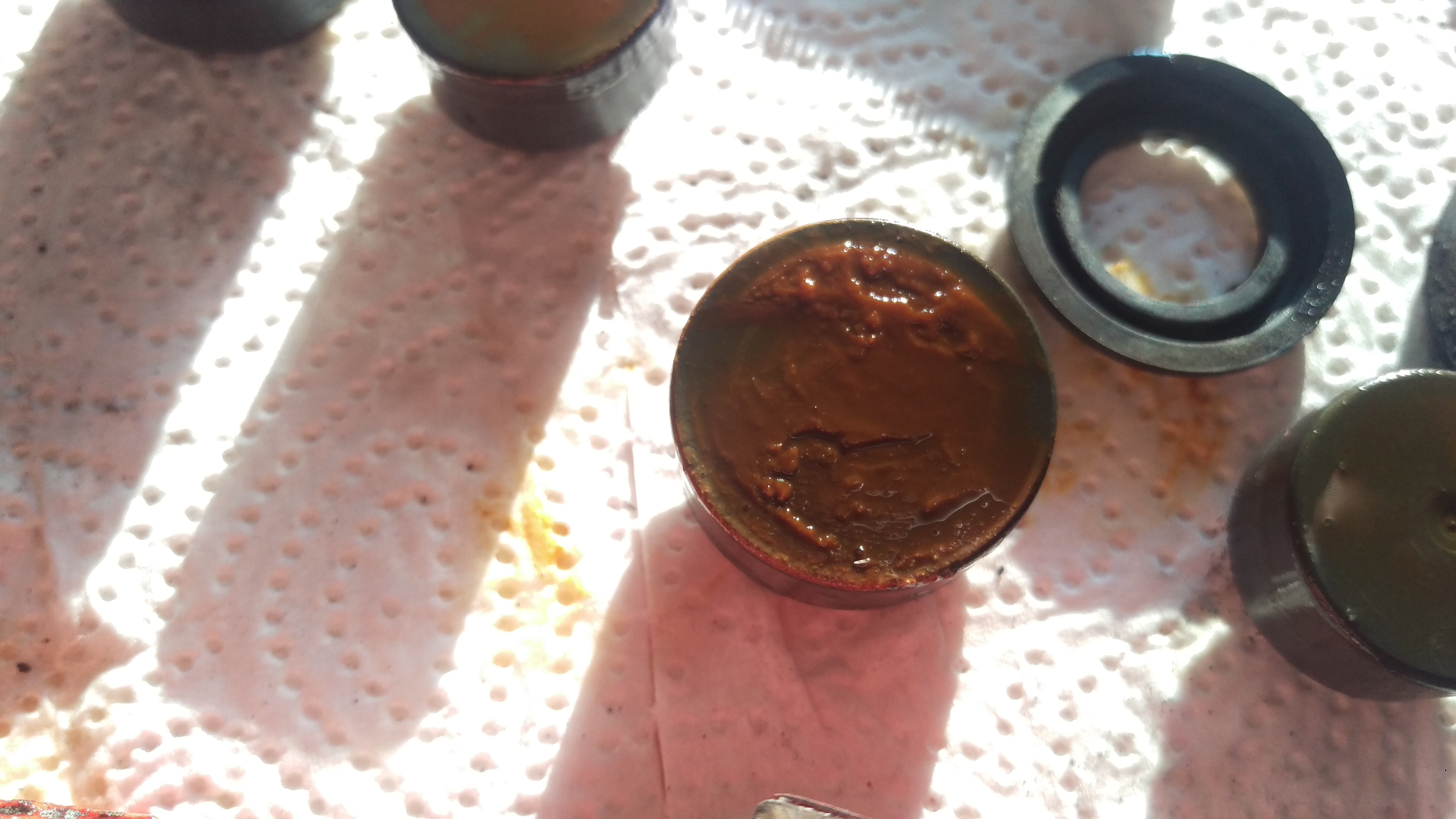 IMAG1306.jpg