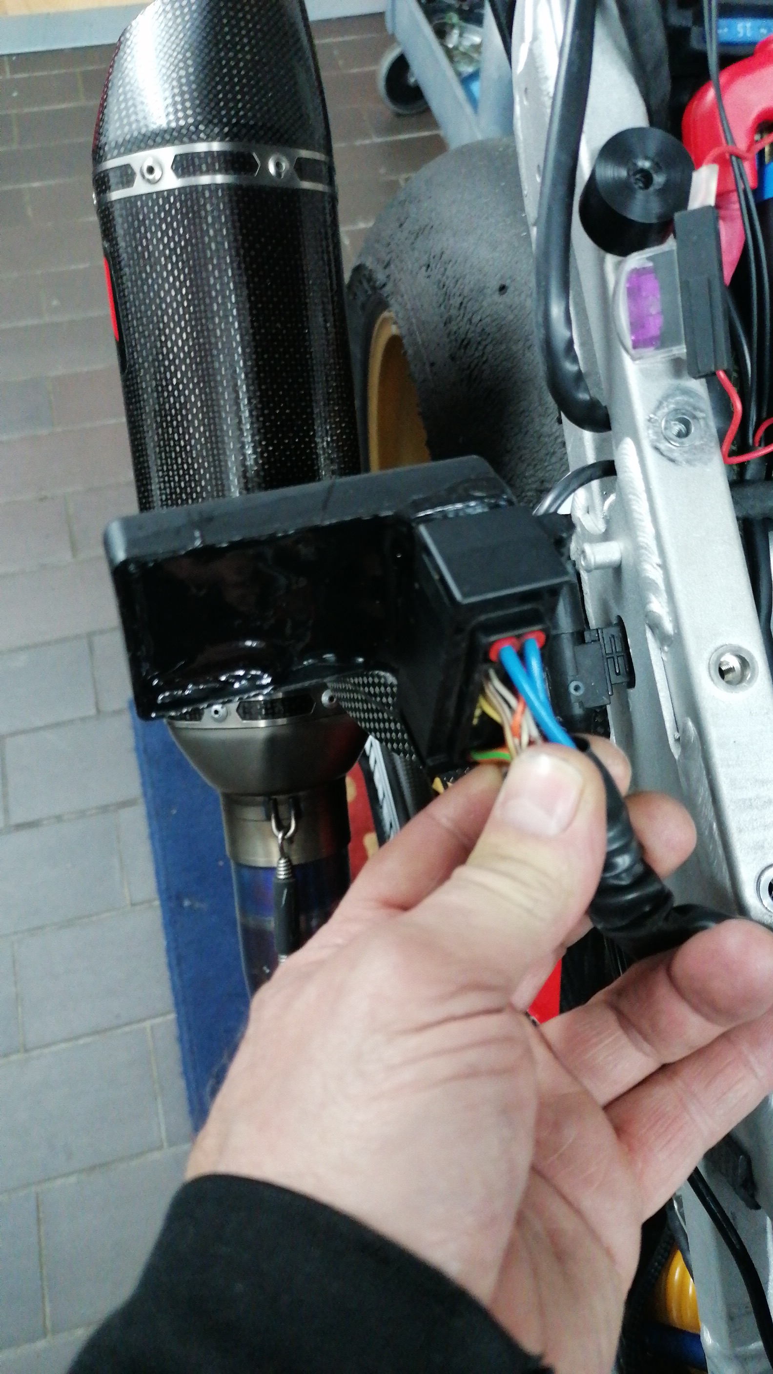 IMG-20230209-WA0022.jpeg