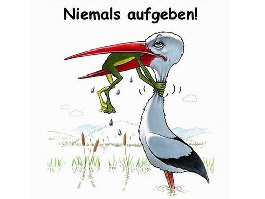 http_%2F%2Fwww.berndschwerdt.de%2Fassets%2Fimages%2Ffrosch.jpg